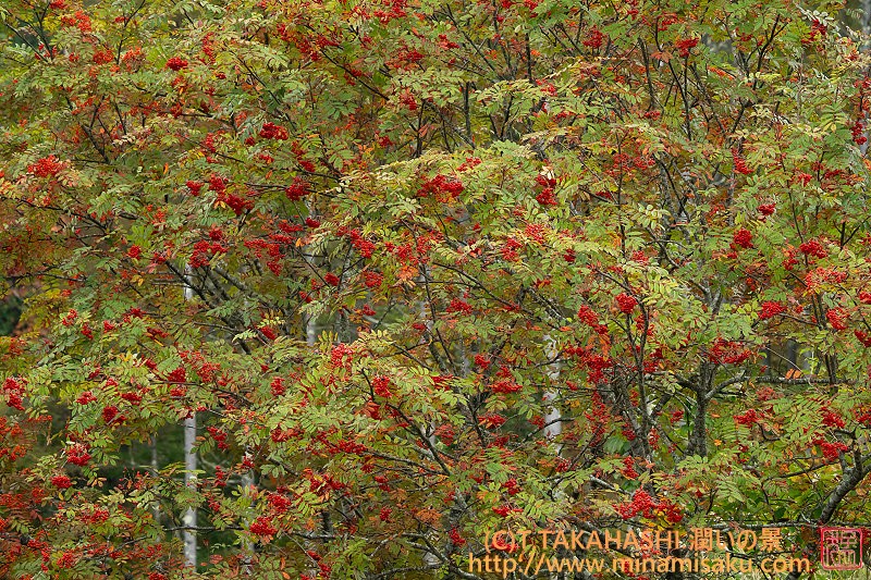 ../Images/7R251013 (96).jpg